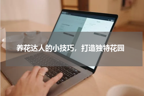  养花达人的小技巧，打造独特花园