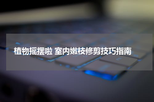  植物摇摆啦 室内嫩枝修剪技巧指南