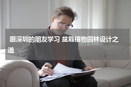  跟深圳的朋友学习 盆栽植物园林设计之道