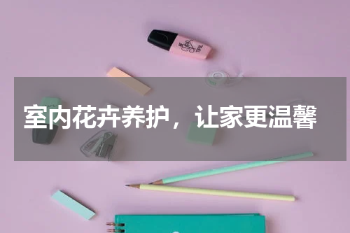  室内花卉养护，让家更温馨