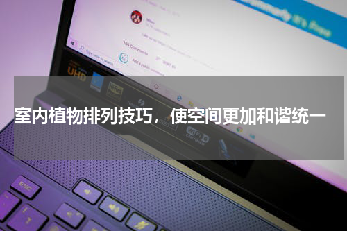  室内植物排列技巧，使空间更加和谐统一