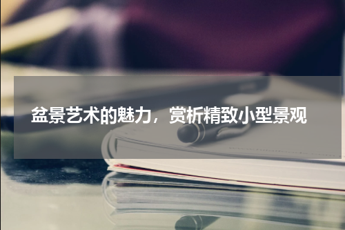  盆景艺术的魅力，赏析精致小型景观