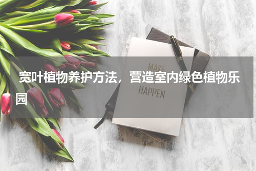  宽叶植物养护方法，营造室内绿色植物乐园