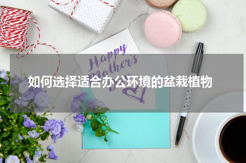  如何选择适合办公环境的盆栽植物