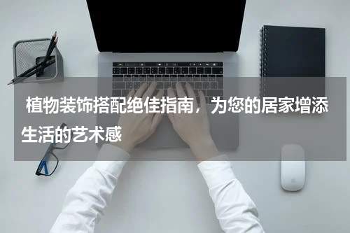  植物装饰搭配绝佳指南，为您的居家增添生活的艺术感