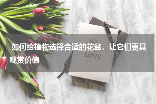  如何给植物选择合适的花盆，让它们更具观赏价值