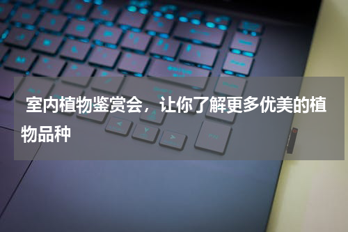  室内植物鉴赏会，让你了解更多优美的植物品种