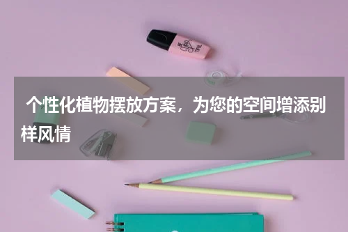  个性化植物摆放方案，为您的空间增添别样风情