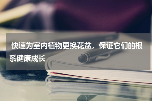  快速为室内植物更换花盆，保证它们的根系健康成长