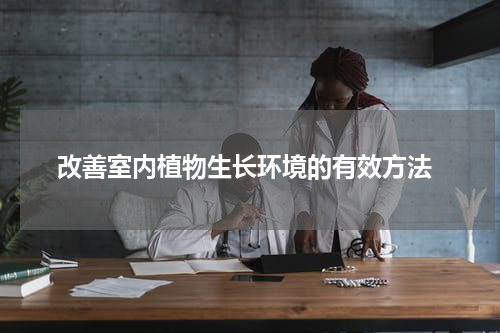  改善室内植物生长环境的有效方法