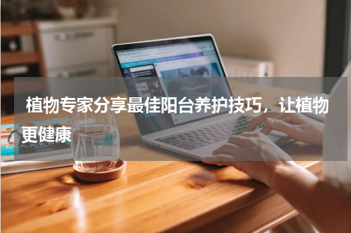  植物专家分享最佳阳台养护技巧，让植物更健康