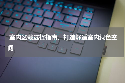  室内盆栽选择指南，打造舒适室内绿色空间