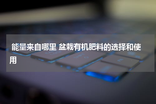 能量来自哪里 盆栽有机肥料的选择和使用