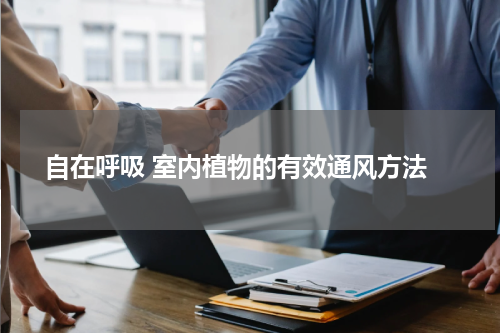  自在呼吸 室内植物的有效通风方法