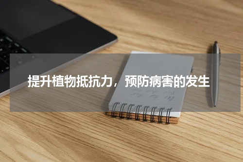  提升植物抵抗力，预防病害的发生