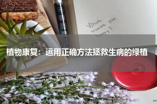  植物康复：运用正确方法拯救生病的绿植