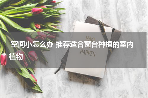  空间小怎么办 推荐适合窗台种植的室内植物