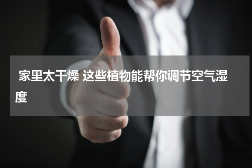  家里太干燥 这些植物能帮你调节空气湿度
