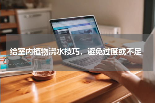  给室内植物浇水技巧，避免过度或不足