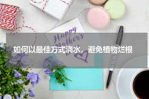  如何以最佳方式浇水，避免植物烂根