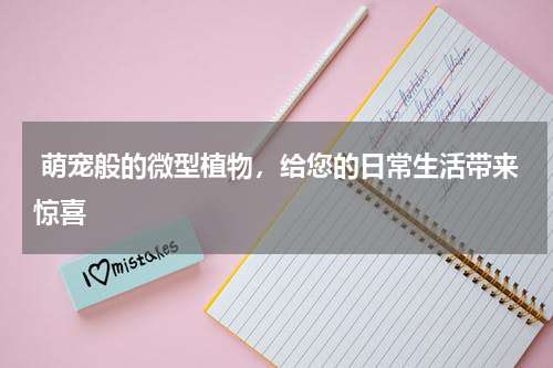  萌宠般的微型植物，给您的日常生活带来惊喜
