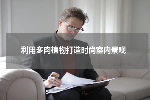  利用多肉植物打造时尚室内景观