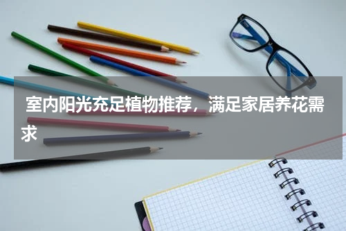 室内阳光充足植物推荐，满足家居养花需求