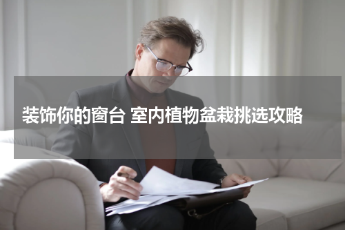  装饰你的窗台 室内植物盆栽挑选攻略
