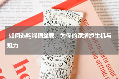  如何选购绿植盆栽，为你的家增添生机与魅力