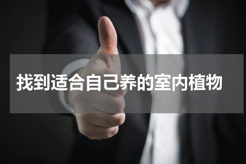 找到适合自己养的室内植物