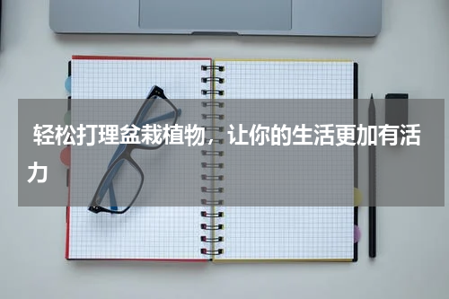  轻松打理盆栽植物，让你的生活更加有活力