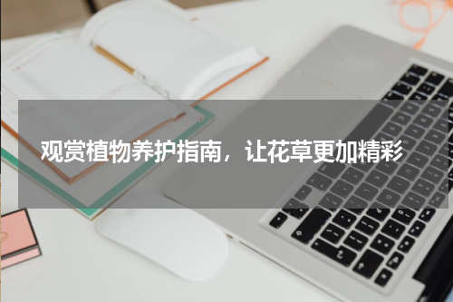  观赏植物养护指南，让花草更加精彩