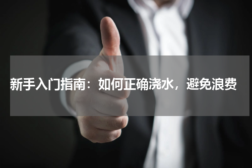  新手入门指南：如何正确浇水，避免浪费