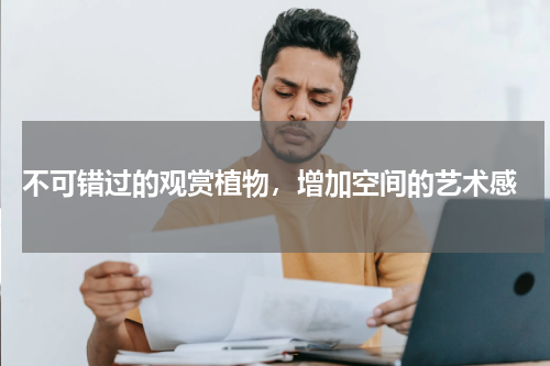  不可错过的观赏植物，增加空间的艺术感
