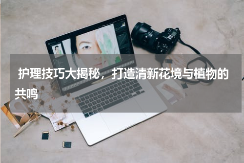  护理技巧大揭秘，打造清新花境与植物的共鸣