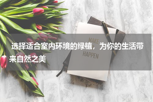  选择适合室内环境的绿植，为你的生活带来自然之美
