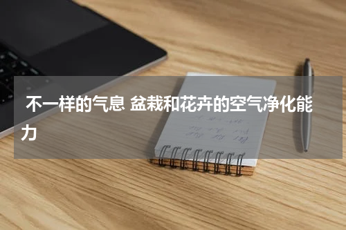  不一样的气息 盆栽和花卉的空气净化能力