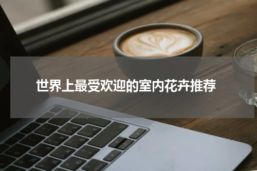  世界上最受欢迎的室内花卉推荐