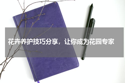  花卉养护技巧分享，让你成为花园专家