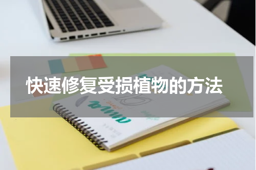  快速修复受损植物的方法