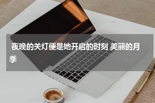  夜晚的关灯便是她开启的时刻 美丽的月季