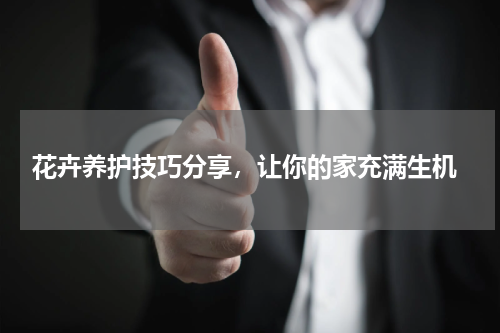  花卉养护技巧分享，让你的家充满生机