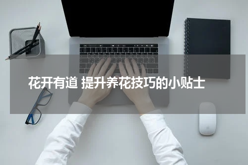  花开有道 提升养花技巧的小贴士