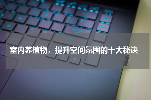  室内养植物，提升空间氛围的十大秘诀