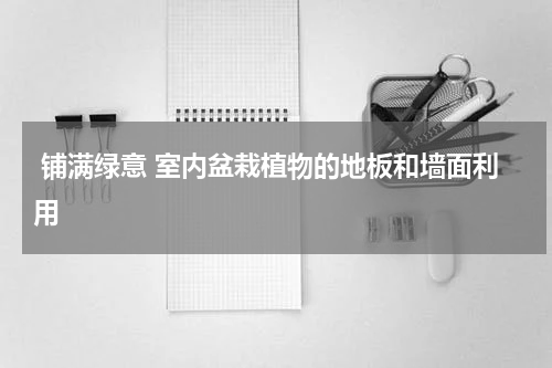  铺满绿意 室内盆栽植物的地板和墙面利用