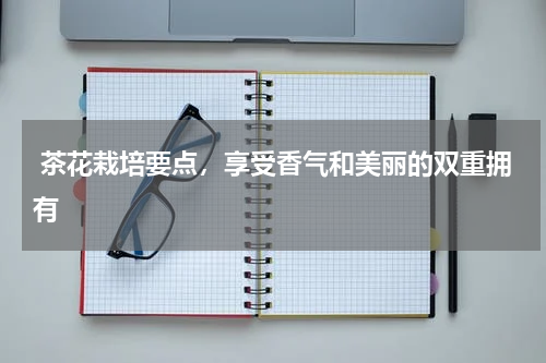  茶花栽培要点，享受香气和美丽的双重拥有