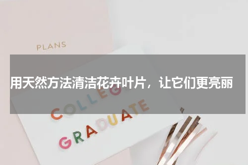  用天然方法清洁花卉叶片，让它们更亮丽