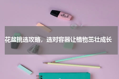  花盆挑选攻略，选对容器让植物茁壮成长