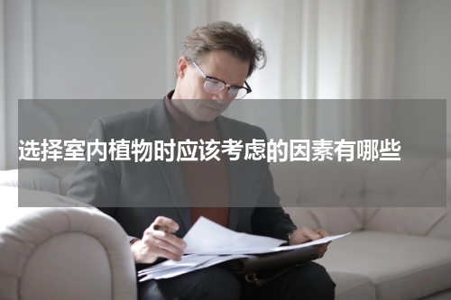  选择室内植物时应该考虑的因素有哪些 