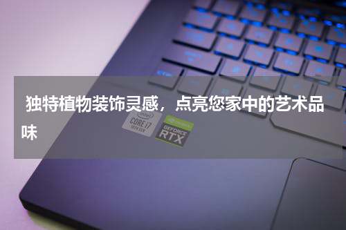  独特植物装饰灵感，点亮您家中的艺术品味